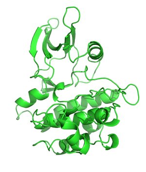 Microsecond trajectory of human tyrosine kinase ABL1 kinase domain on Figshare