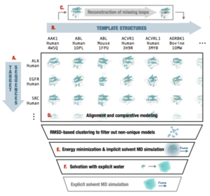 Ensembler-generated Tyrosine kinase models